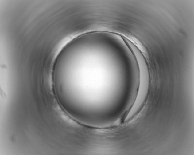 X0000091100904200708131104