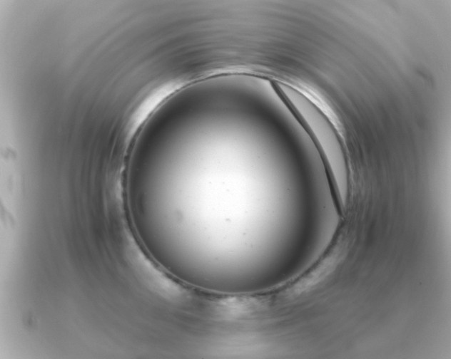 X0000091100906200708131104