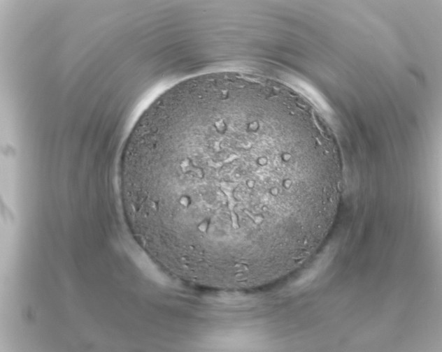 X0000091100907200708131104