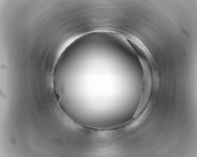 X0000091100908200708131104