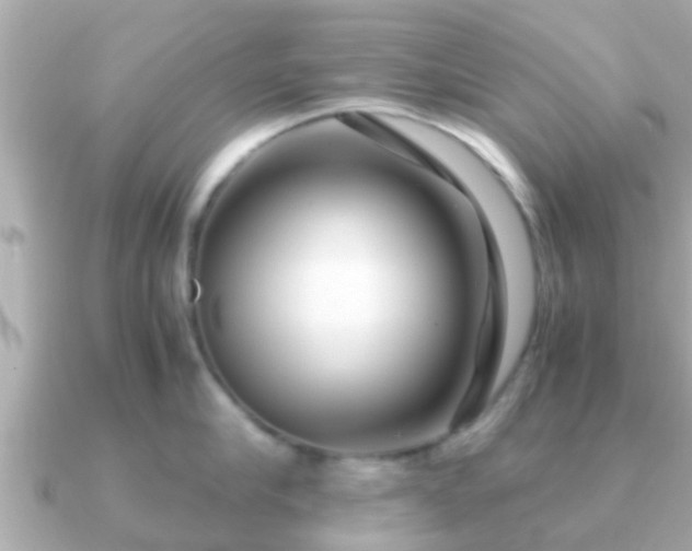 X0000091100910200708131104