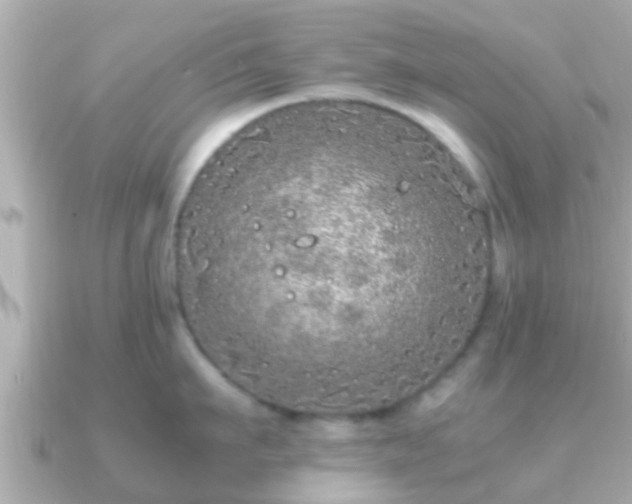 X0000091100911200708131104