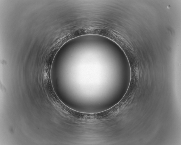 X0000091100914200708131103