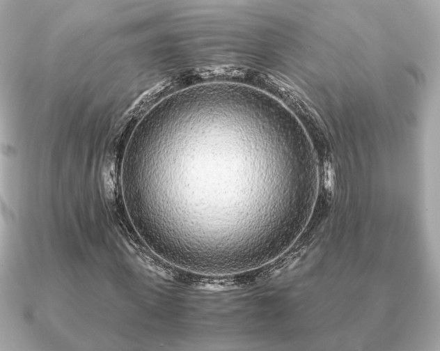 X0000091100915200708131103