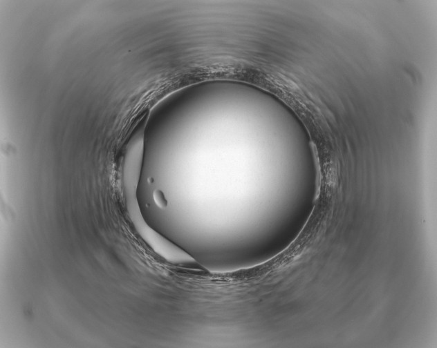 X0000091100916200708131103