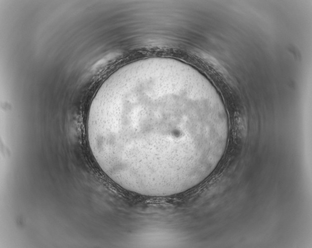 X0000091100918200708131103