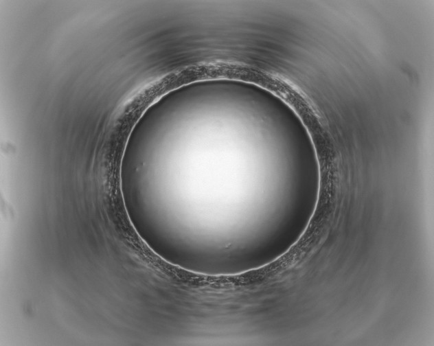 X0000091100919200708131103