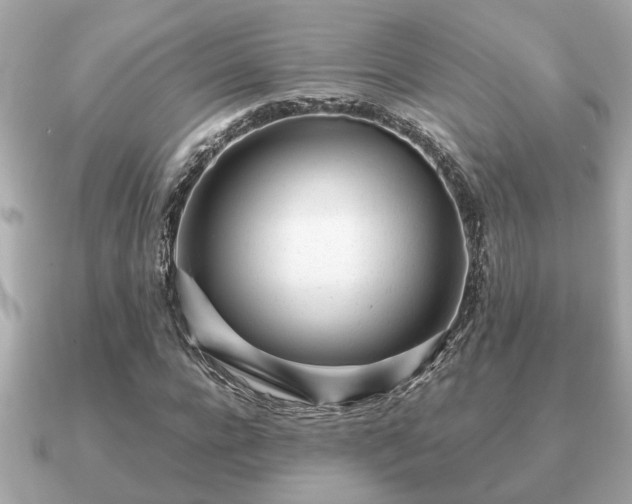 X0000091100920200708131103