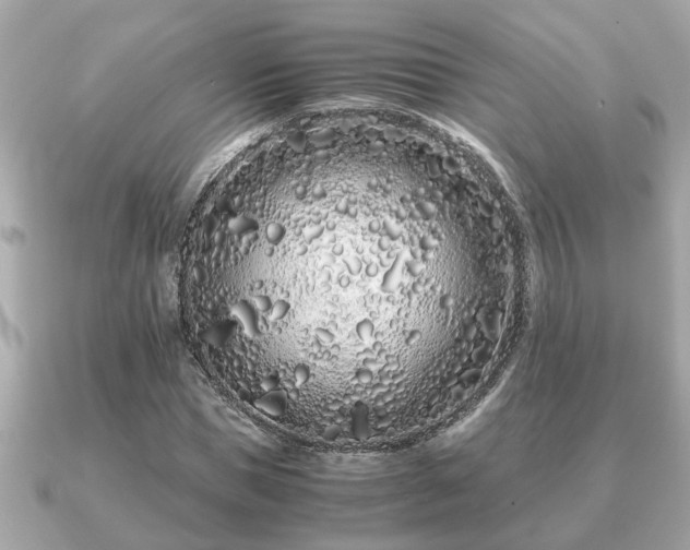 X0000091100921200708131103