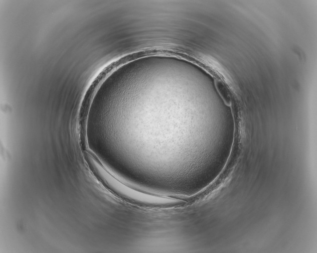 X0000091100924200708131103