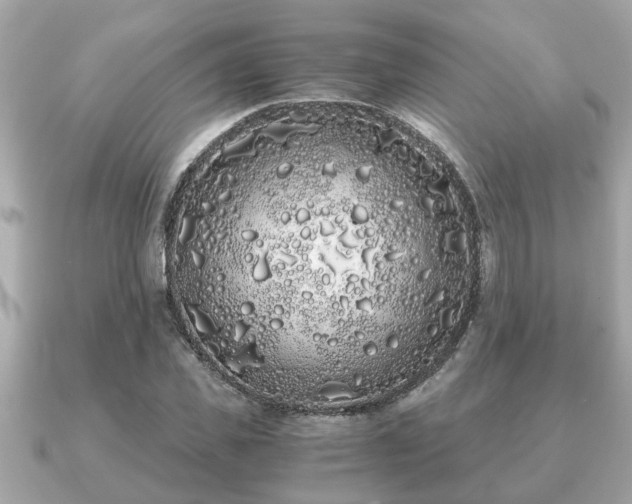 X0000091100925200708131103