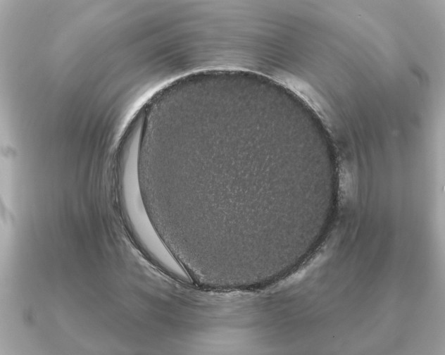 X0000091100926200708131103