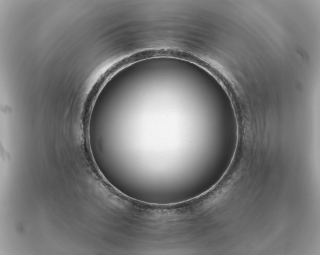 X0000091100927200708131103