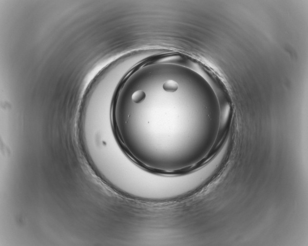 X0000091100928200708131103