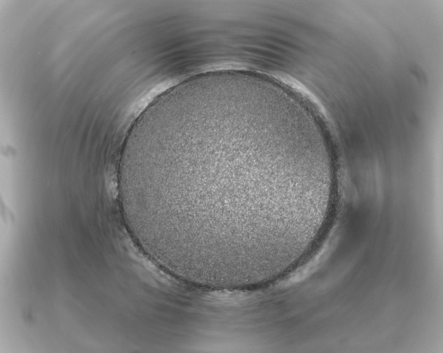 X0000091100929200708131103