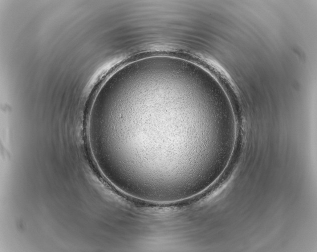 X0000091100930200708131103