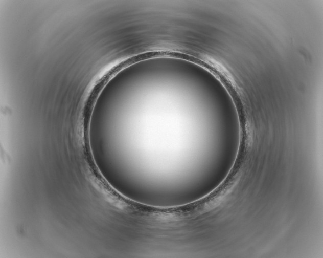 X0000091100931200708131103