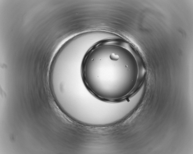 X0000091100932200708131103