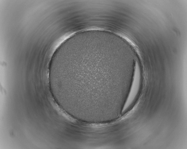 X0000091100933200708131103