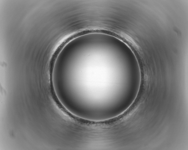 X0000091100934200708131103