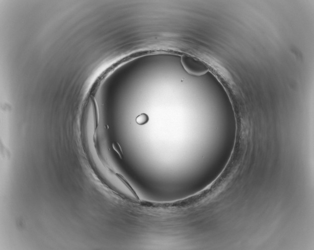 X0000091100936200708131103