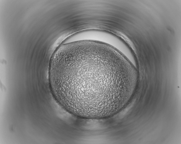 X0000091100938200708131103