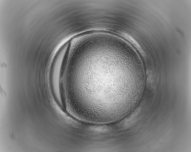 X0000091100939200708131103