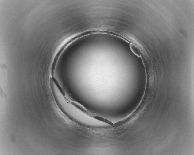 X0000091100940200708131103