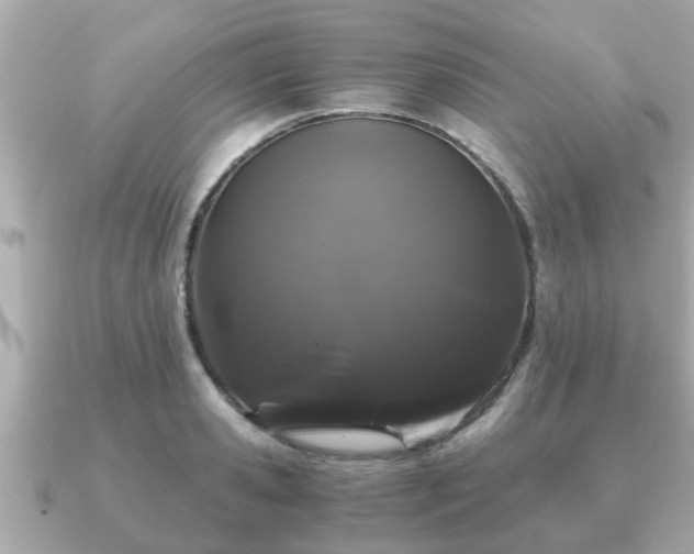 X0000091100941200708131103