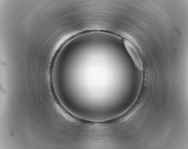 X0000091100942200708131103