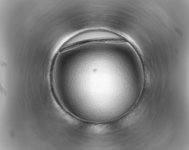 X0000091100943200708131103