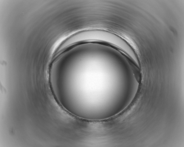 X0000091100944200708131103