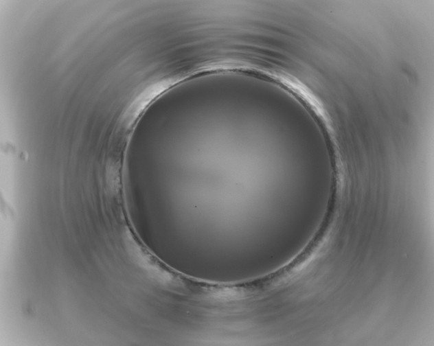 X0000091100945200708131104