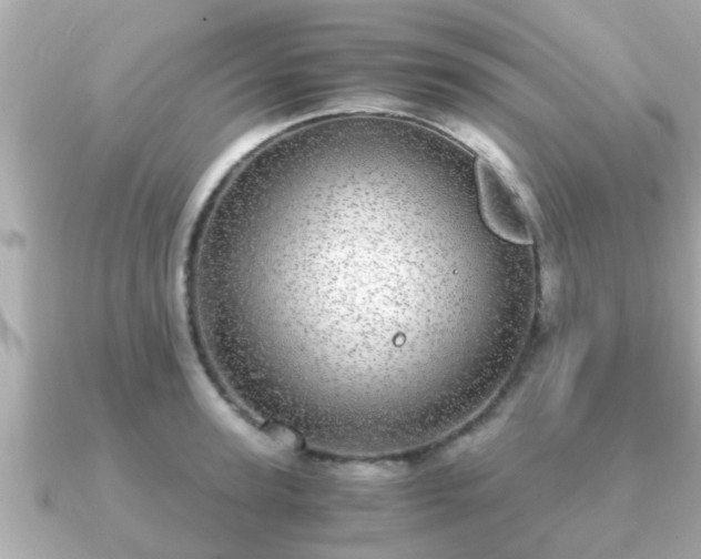 X0000091100947200708131104