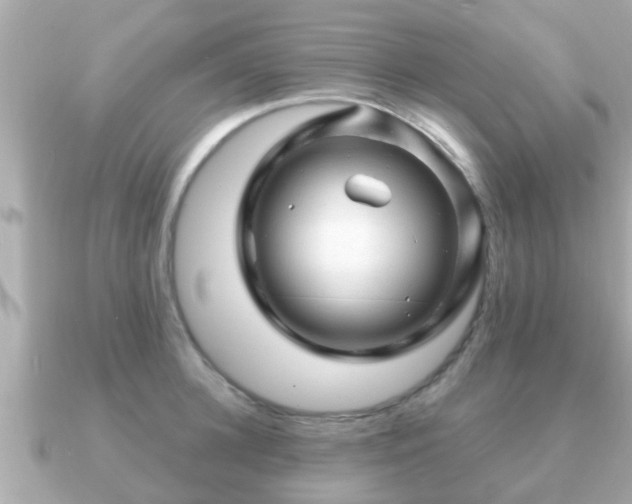 X0000091100948200708131104