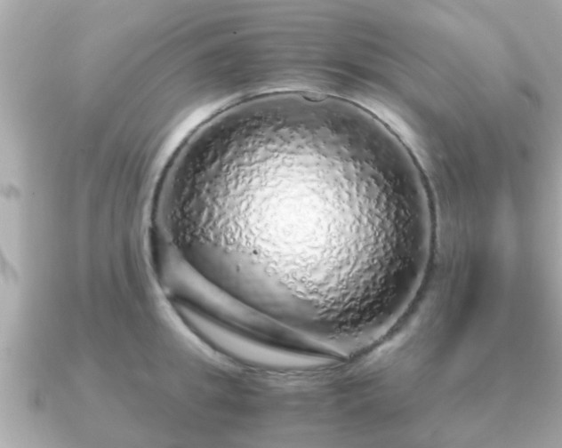 X0000091100949200708131104