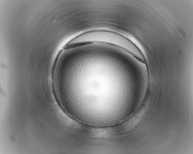 X0000091100951200708131104