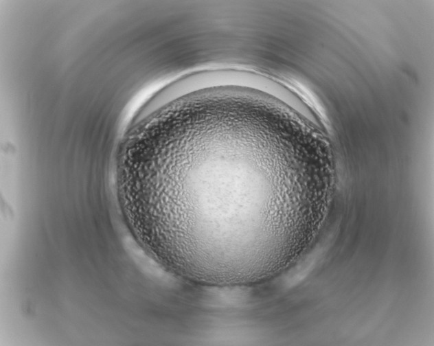 X0000091100952200708131104