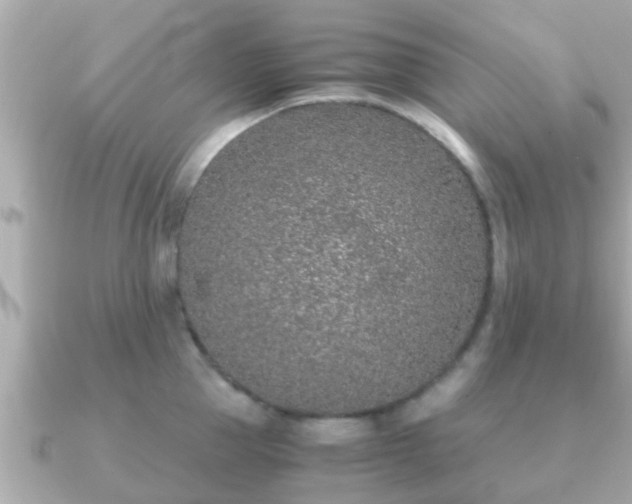 X0000091100953200708131104