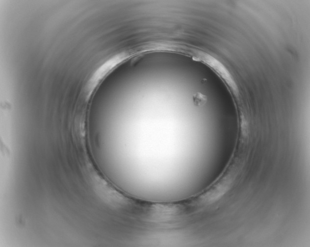 X0000091100954200708131104