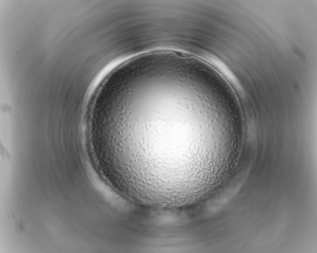 X0000091100955200708131104