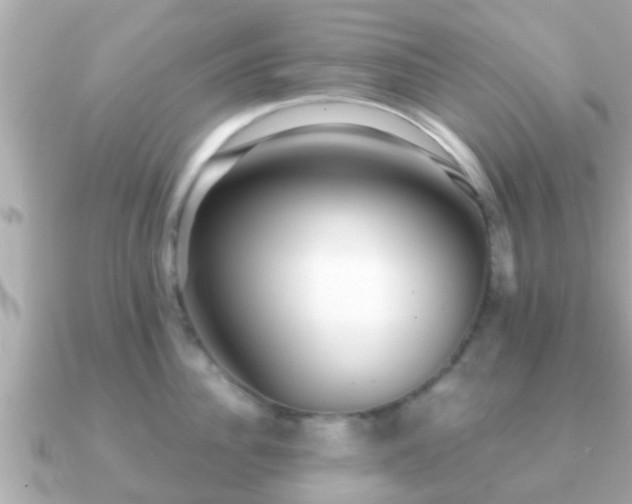 X0000091100956200708131104