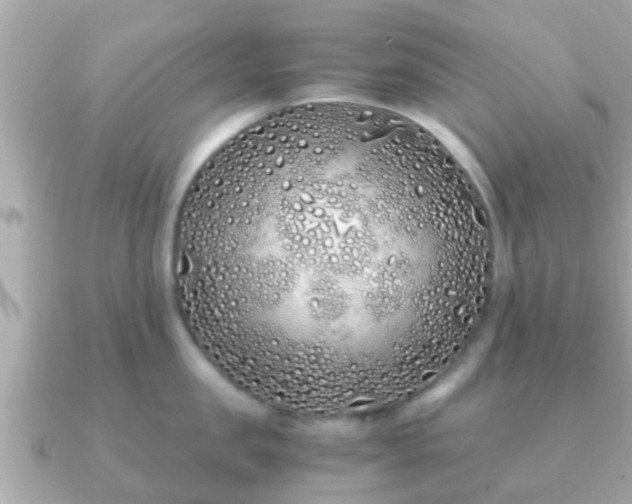 X0000091100957200708131104