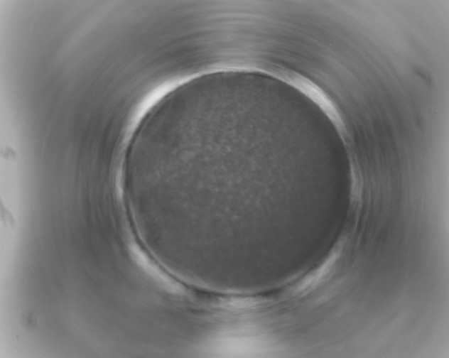 X0000091100958200708131104