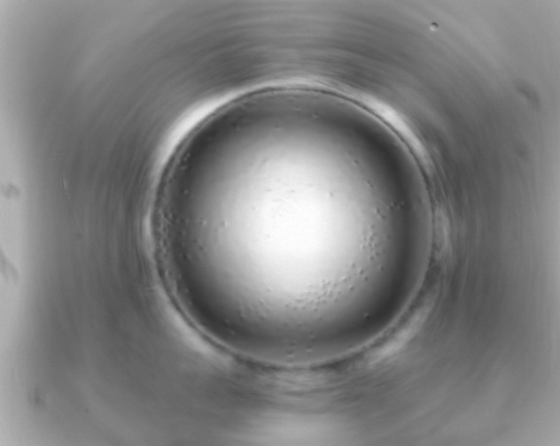 X0000091100959200708131104