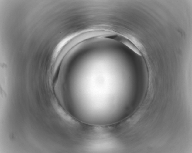 X0000091100960200708131104