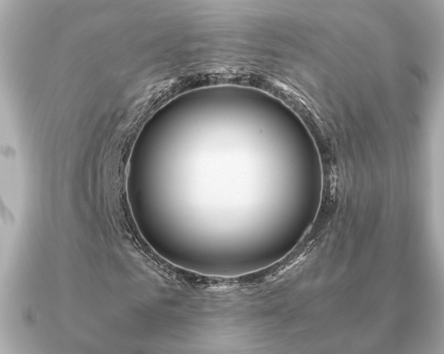 X0000091100961200708131103