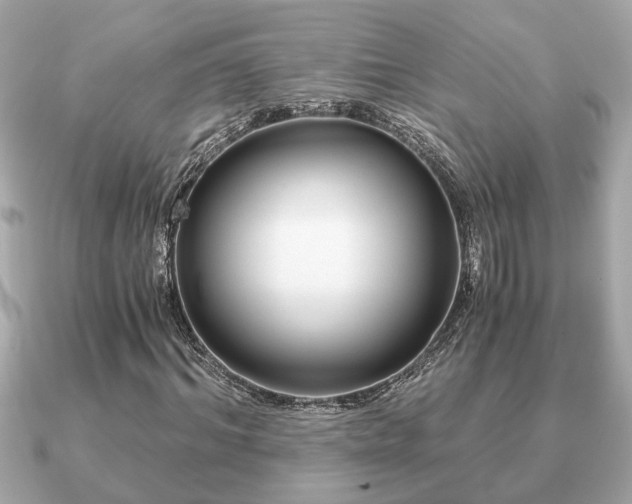 X0000091100964200708131103