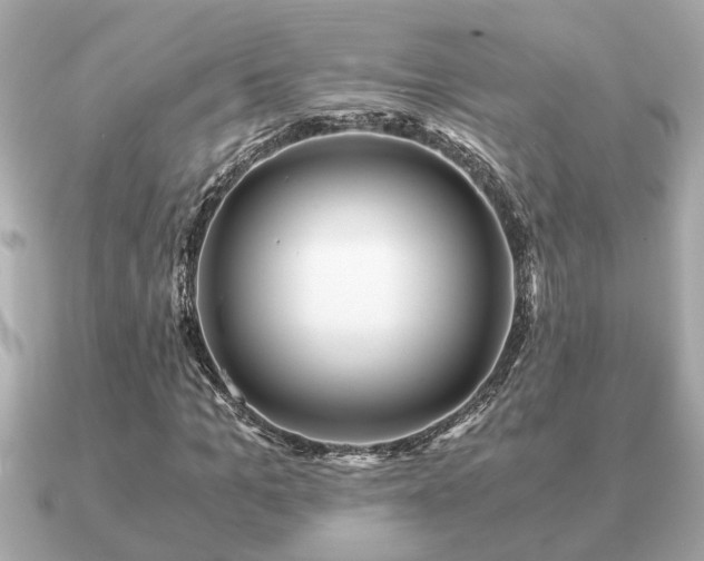 X0000091100965200708131103