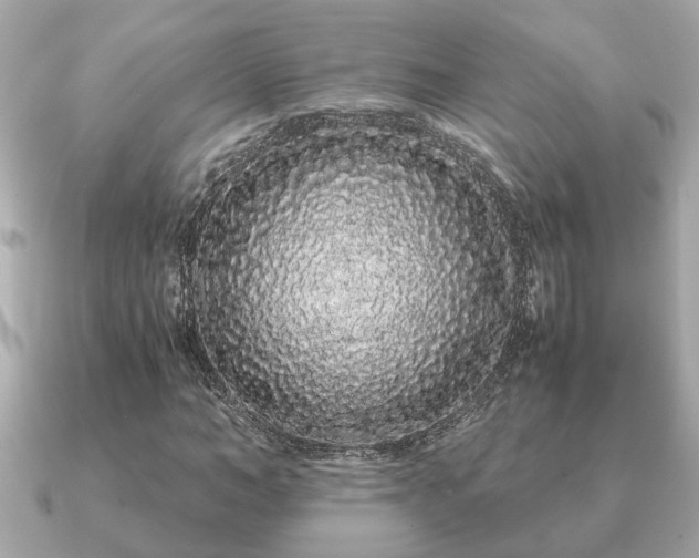 X0000091100966200708131103